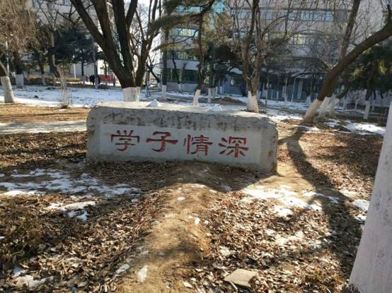 实验校园学子情深.jpg